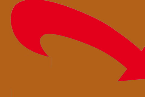 "gesichert rechtsextem"