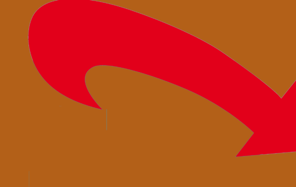 "gesichert rechtsextem"