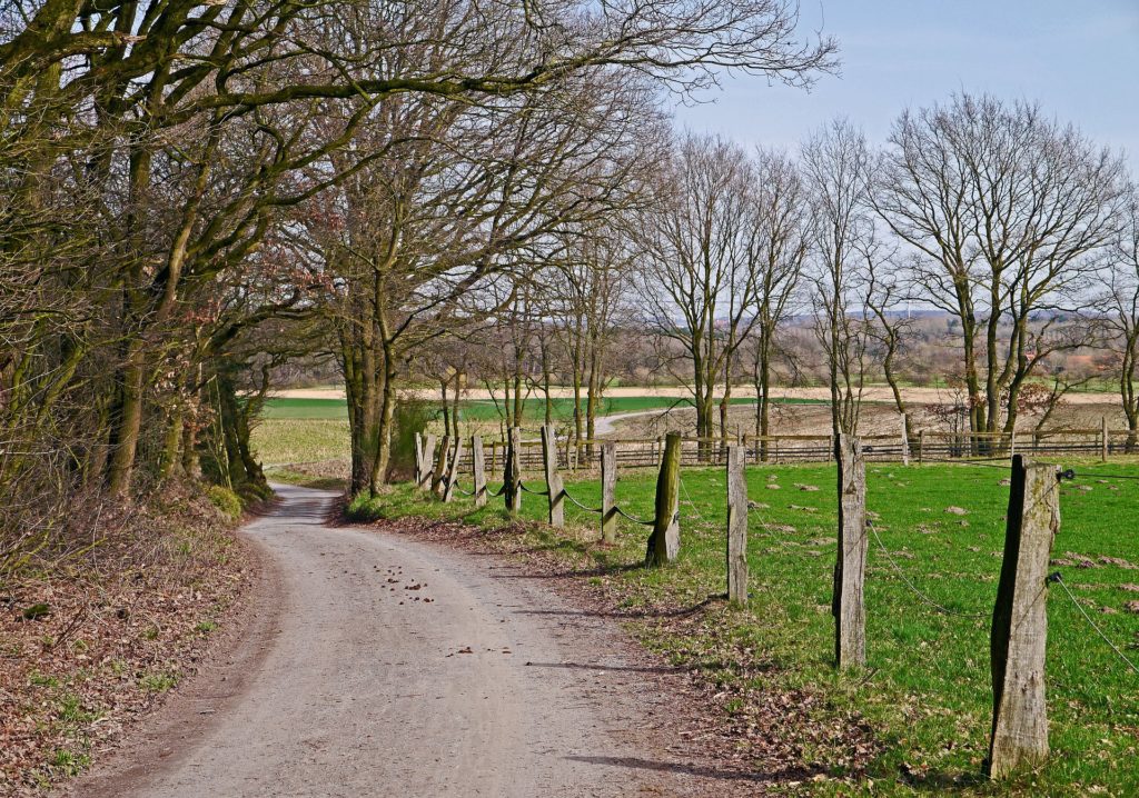Münsterland