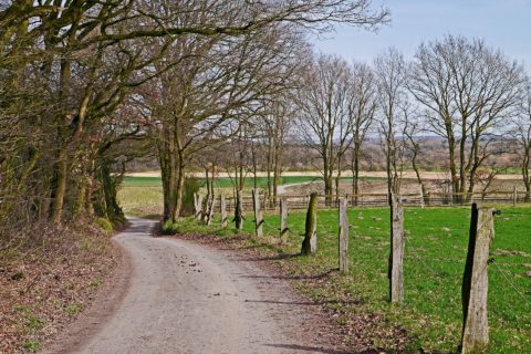 Münsterland
