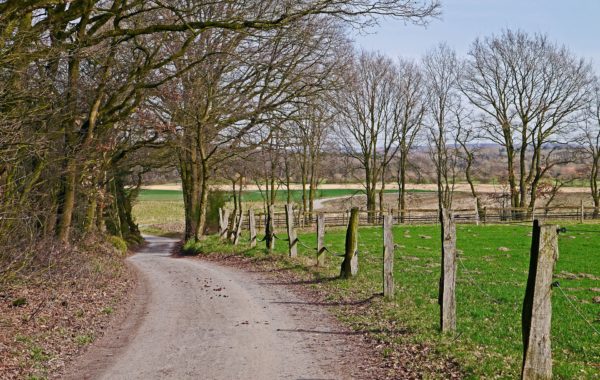Münsterland