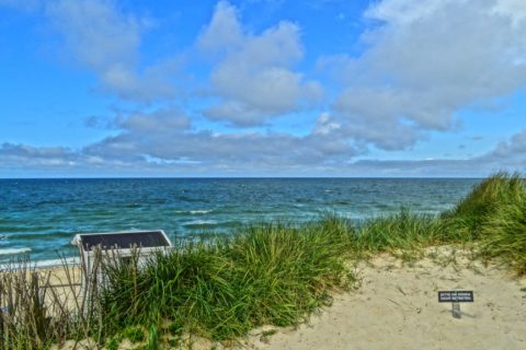 Sylt