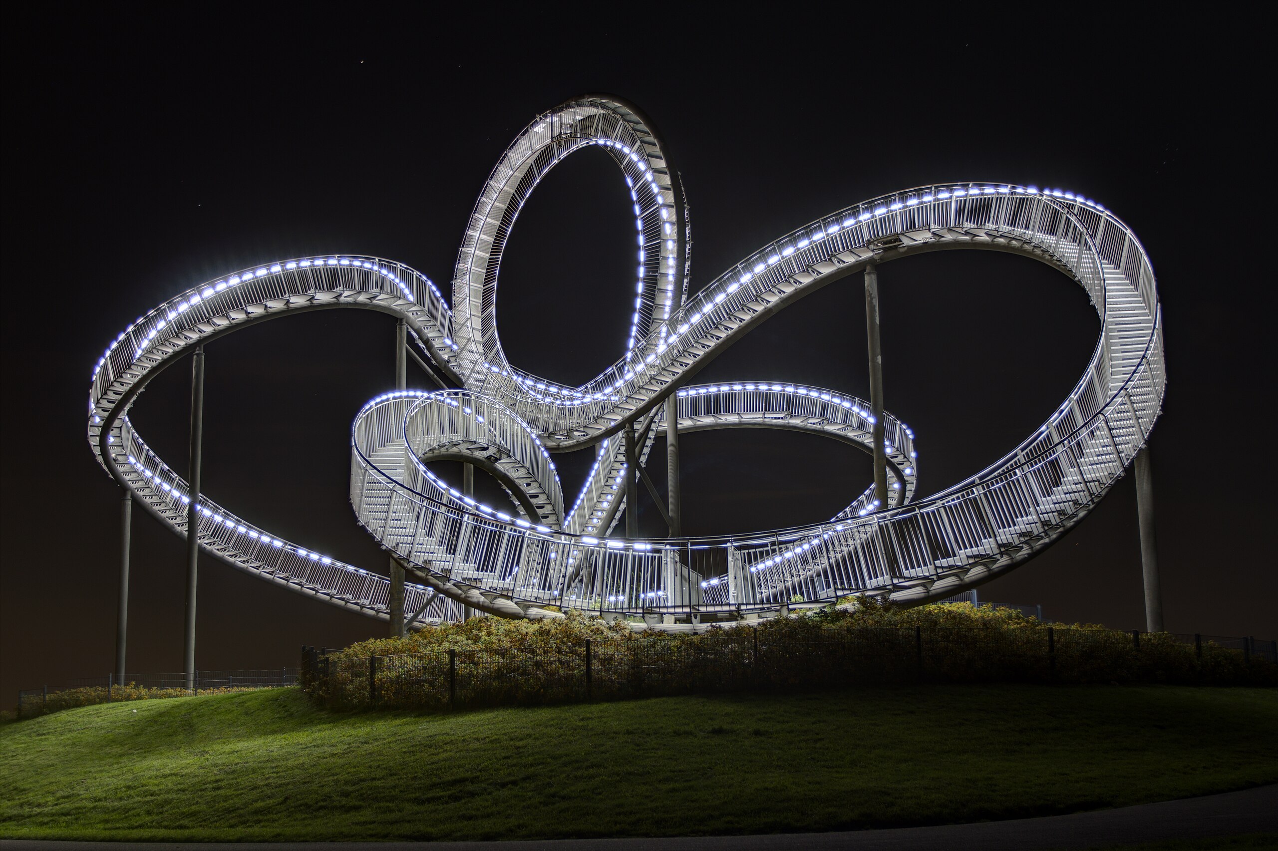 Duisburg, Tiger and Turtle
