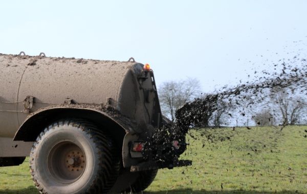 Güllefass verteilt Gülle auf Feld