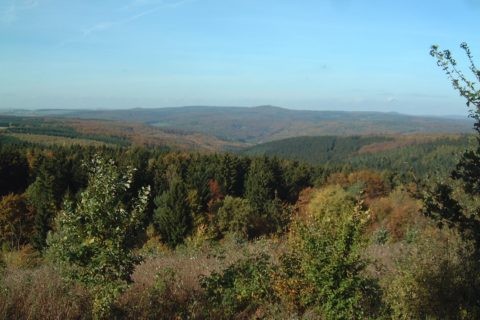 Blick Richtung Nordwest auf den Reinhardswald
