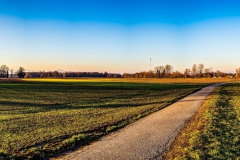 Dietenbach (Freiburg im Breisgau)