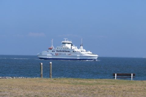 Sylt-Fähre (MF SyltExpress)