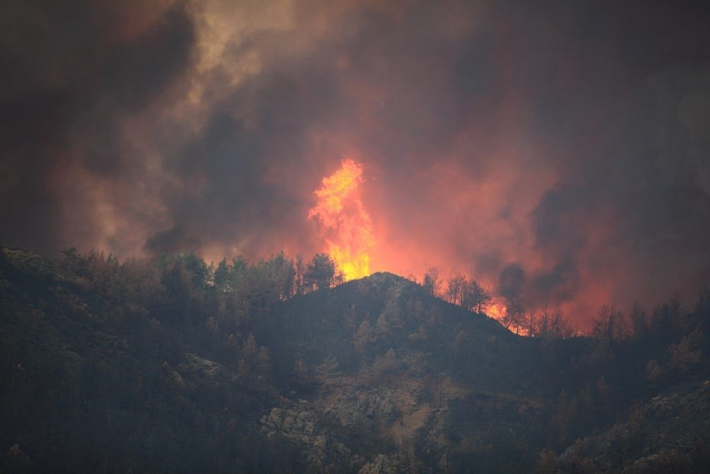 Waldbrand
