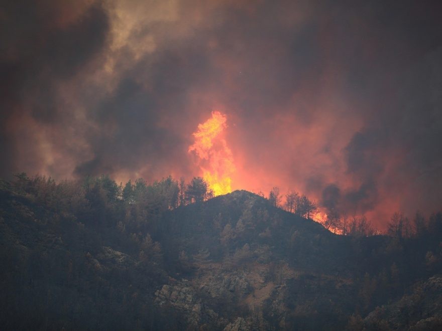 Waldbrand